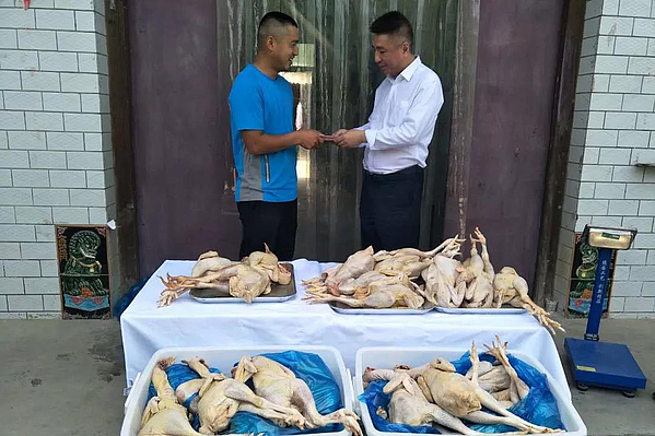 微信图片_20190505114049.jpg